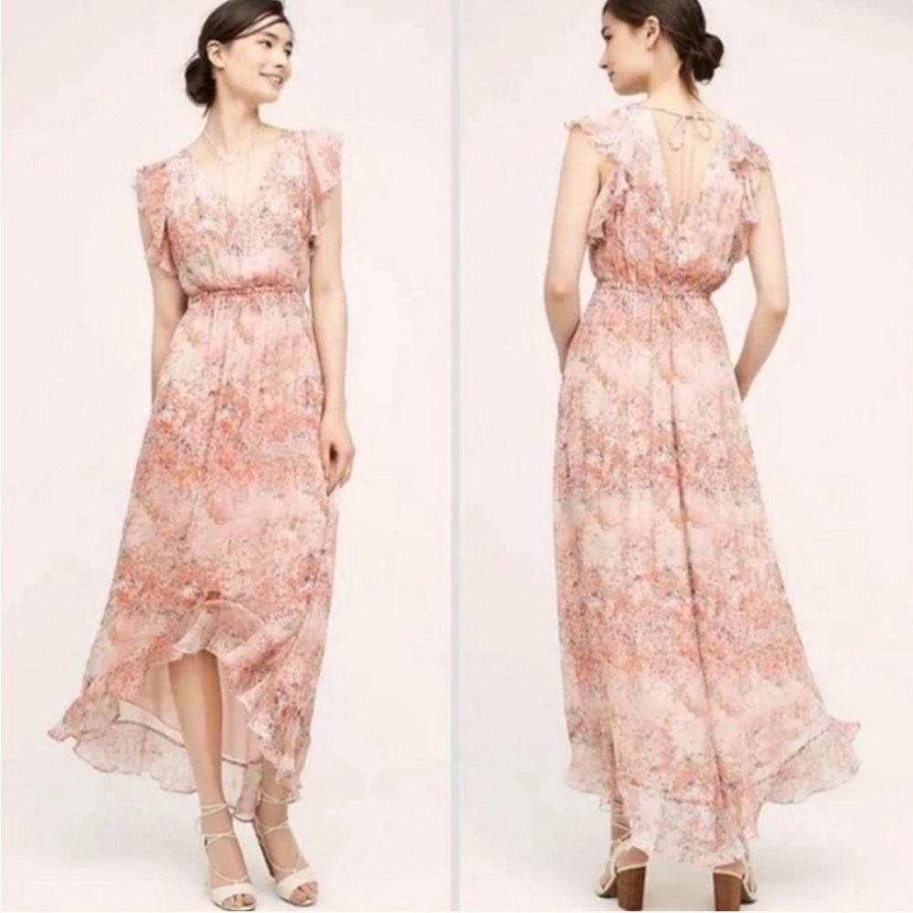 HD in Paris from Anthropologie, hi low floral midi- size 4